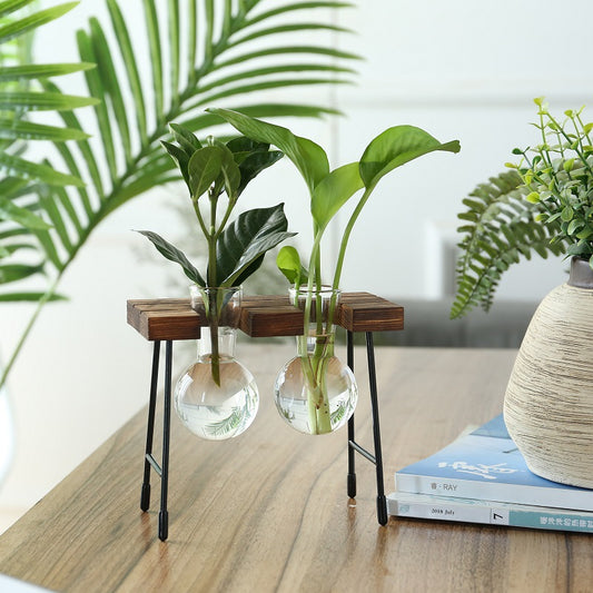 Rustic Plant Terrarium with Wooden Stand